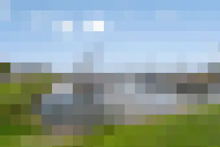 Peuterdijk 15 Herkingen thumbnail 27