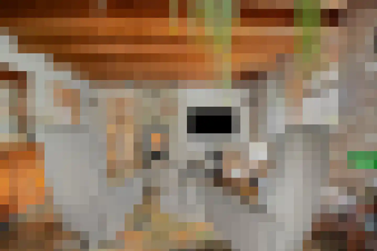 Peuterdijk 43 Herkingen thumbnail 10