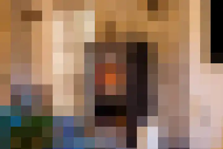 Peuterdijk 43 Herkingen thumbnail 11