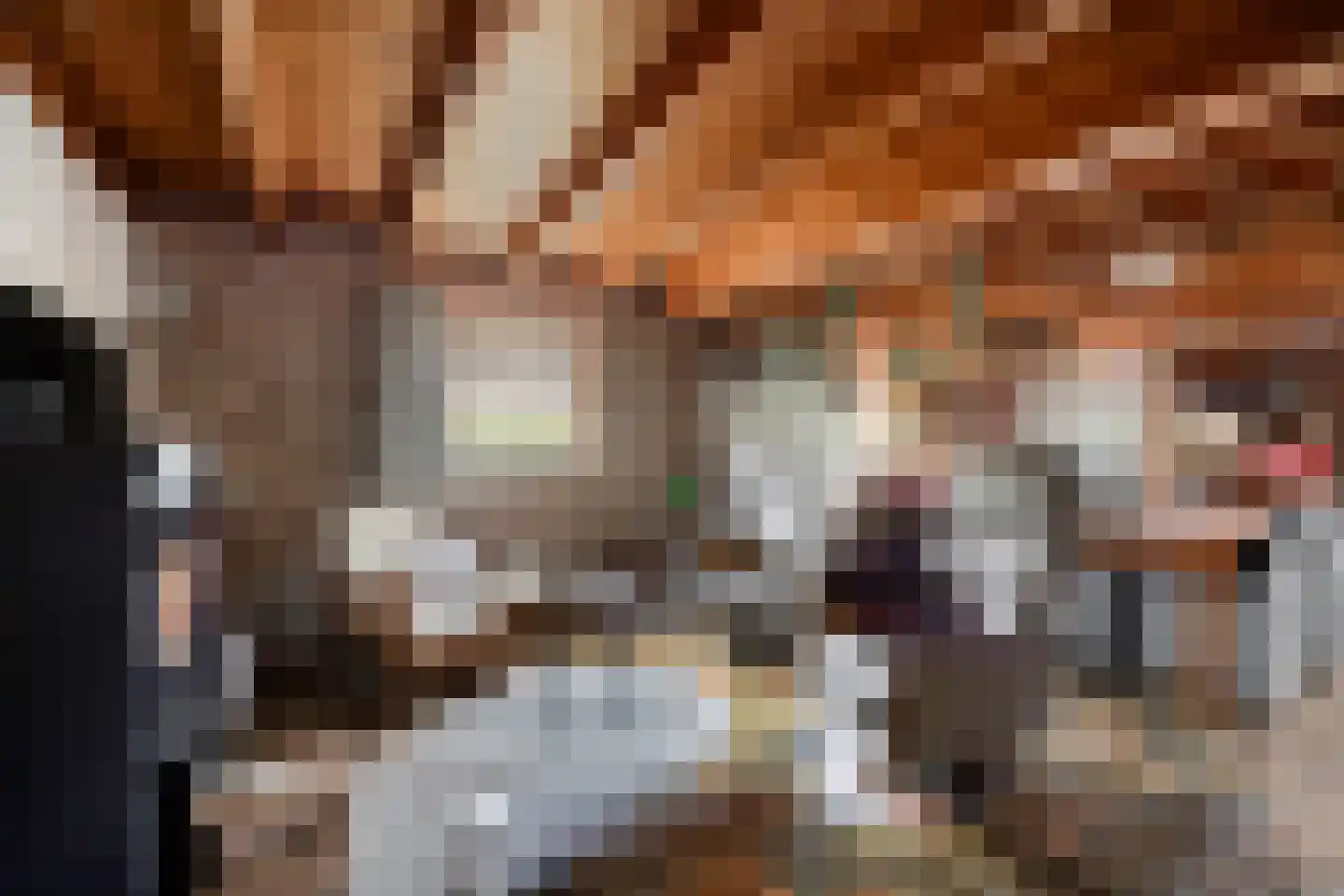 Peuterdijk 43 Herkingen thumbnail 11