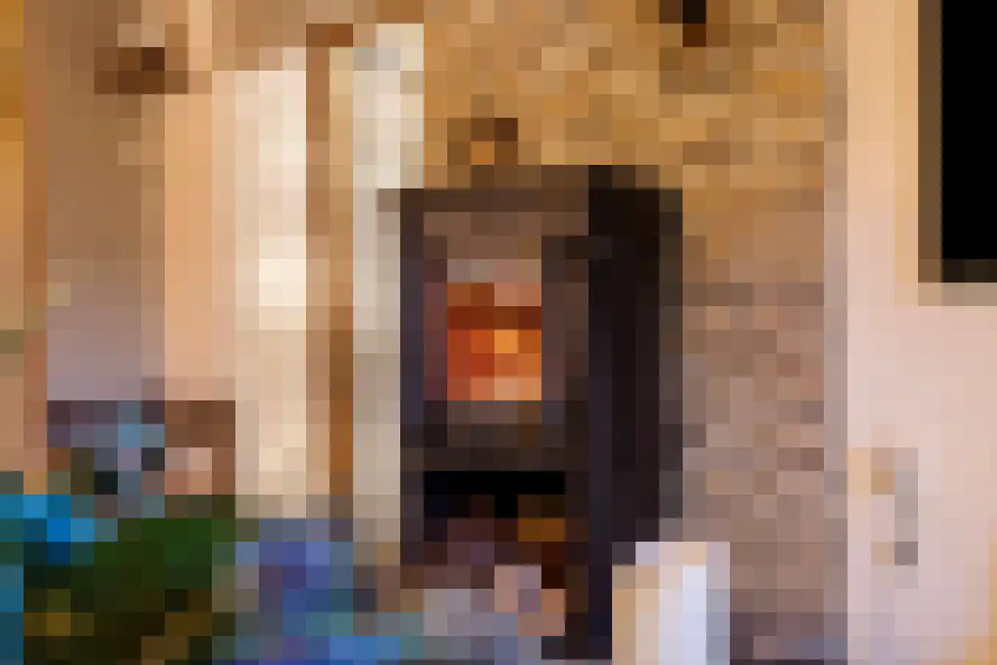 Peuterdijk 43 Herkingen thumbnail 12