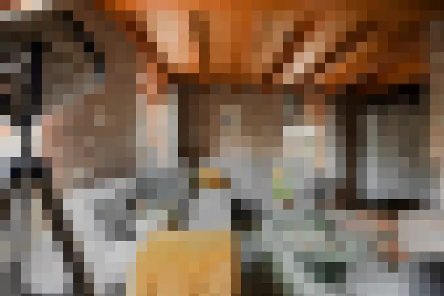 Peuterdijk 43 Herkingen thumbnail 15