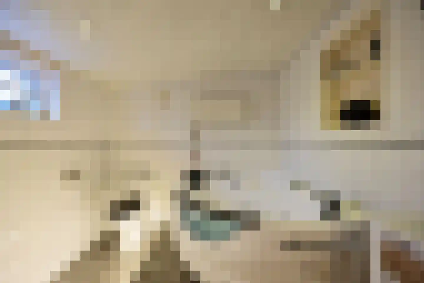 Peuterdijk 43 Herkingen thumbnail 17