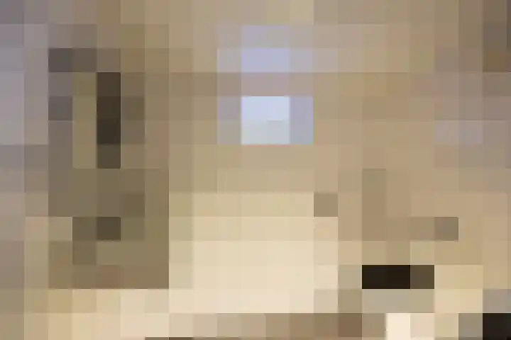 Peuterdijk 43 Herkingen thumbnail 19
