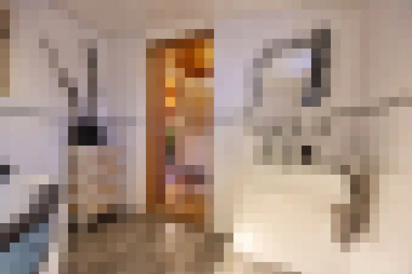 Peuterdijk 43 Herkingen thumbnail 19