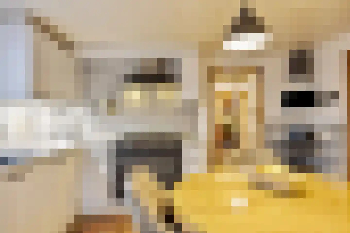 Peuterdijk 43 Herkingen thumbnail 22