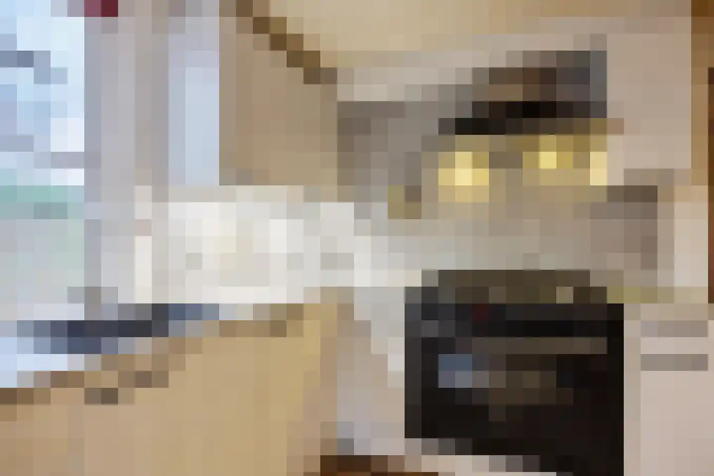 Peuterdijk 43 Herkingen thumbnail 23