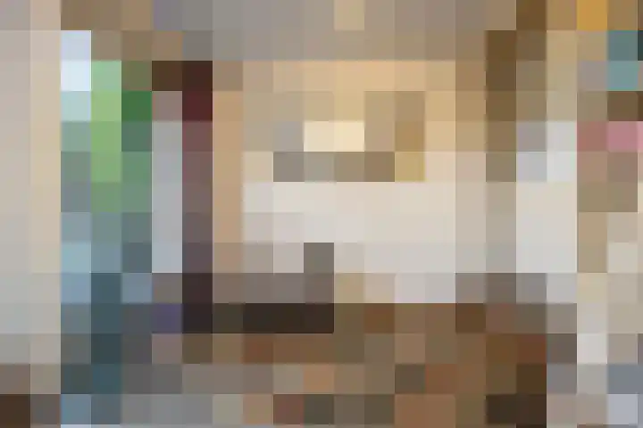 Peuterdijk 43 Herkingen thumbnail 29