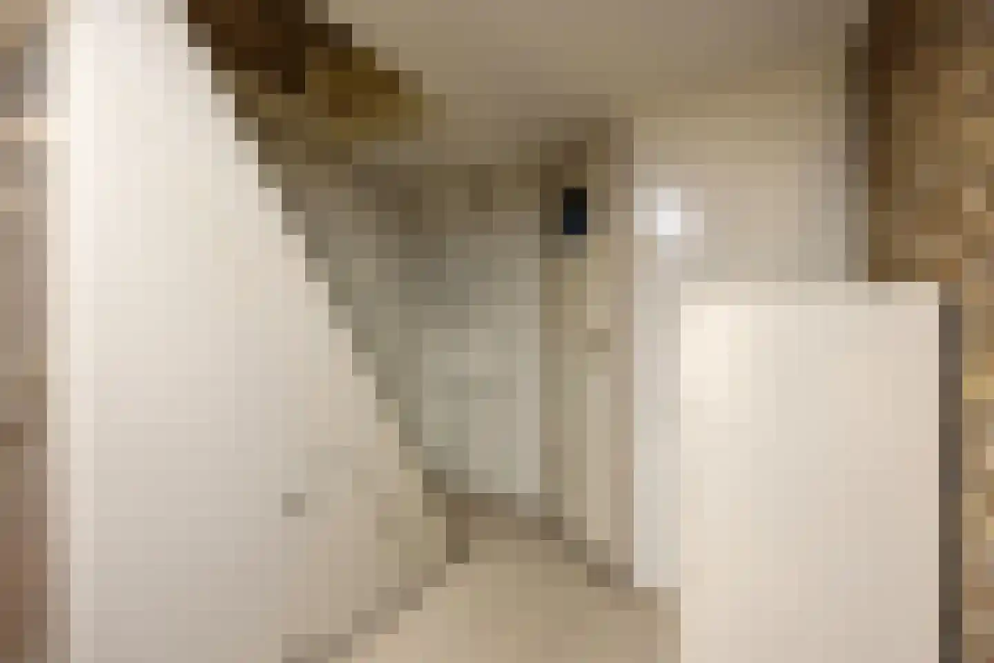 Peuterdijk 43 Herkingen thumbnail 36