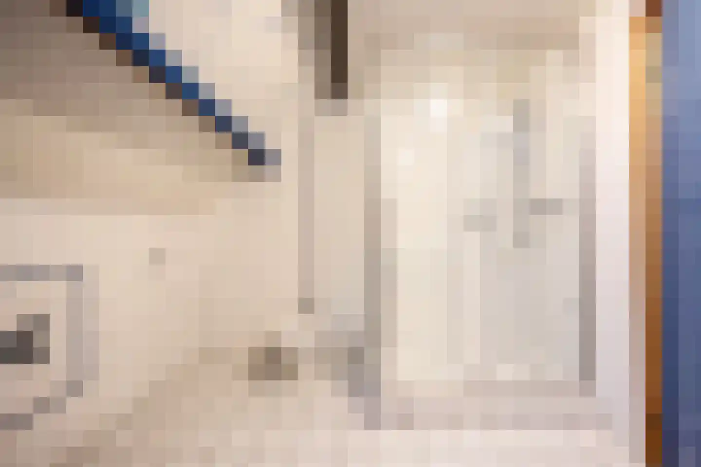Peuterdijk 43 Herkingen thumbnail 37