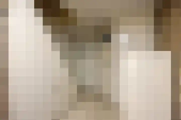 Peuterdijk 43 Herkingen thumbnail 38