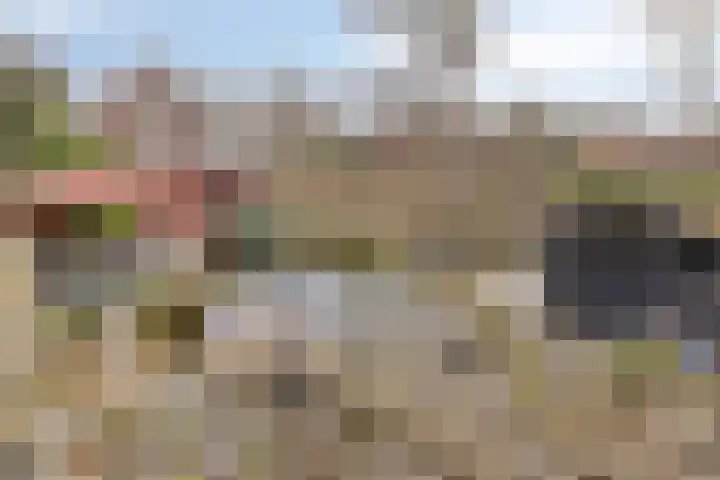 Peuterdijk 43 Herkingen thumbnail 4
