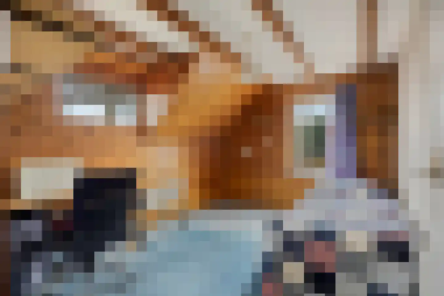 Peuterdijk 43 Herkingen thumbnail 42