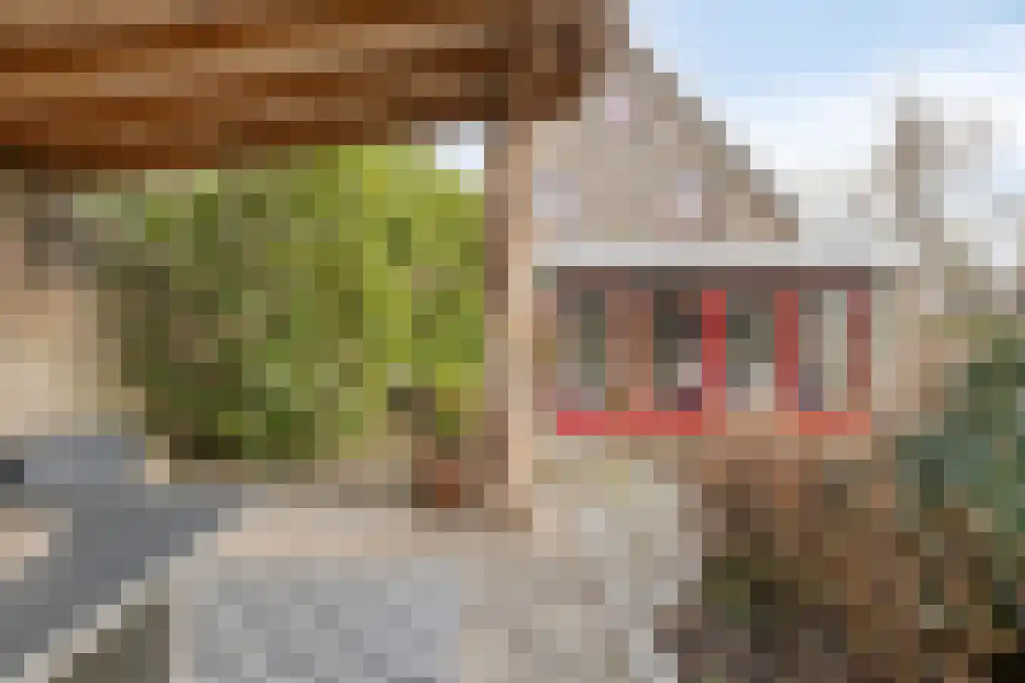 Peuterdijk 43 Herkingen thumbnail 44