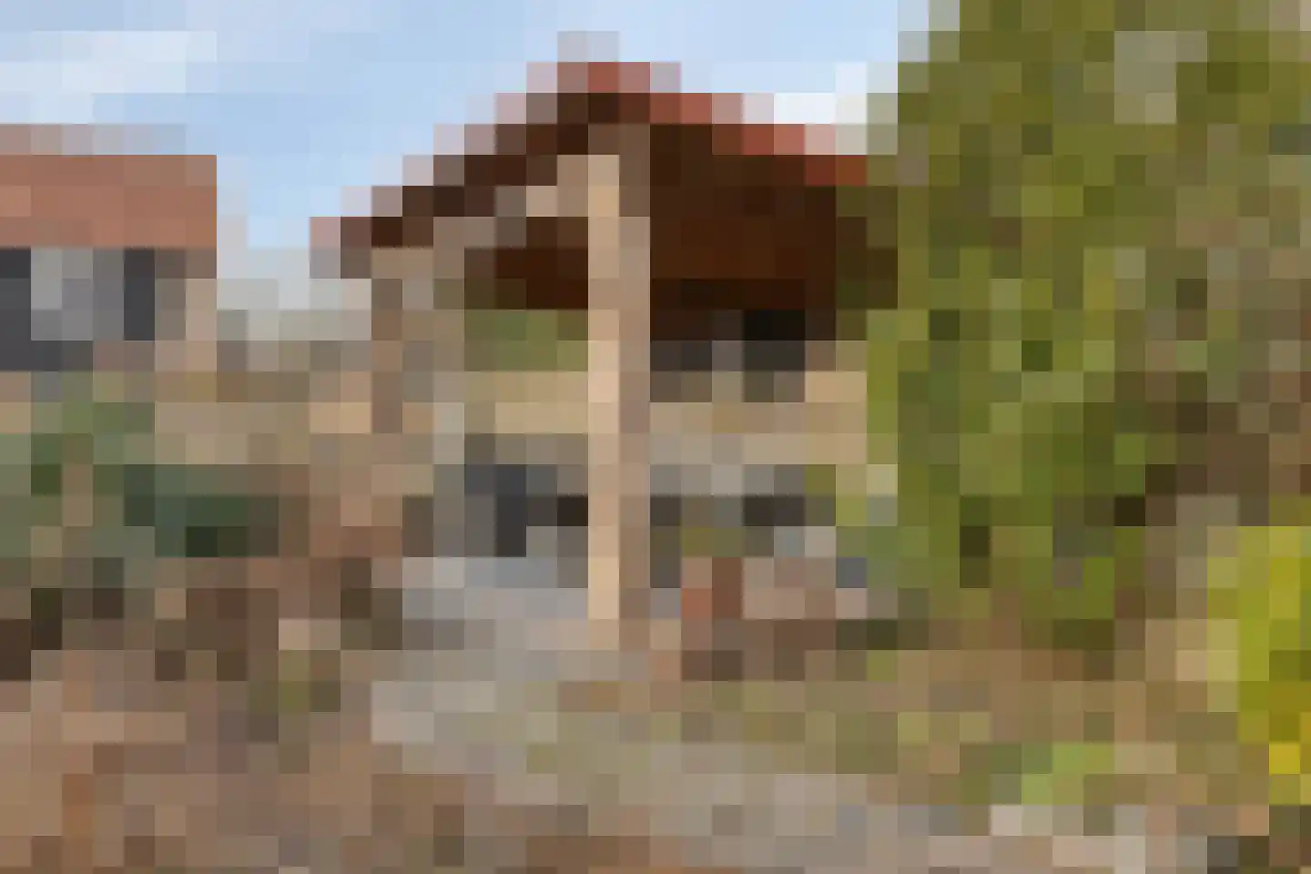 Peuterdijk 43 Herkingen thumbnail 45