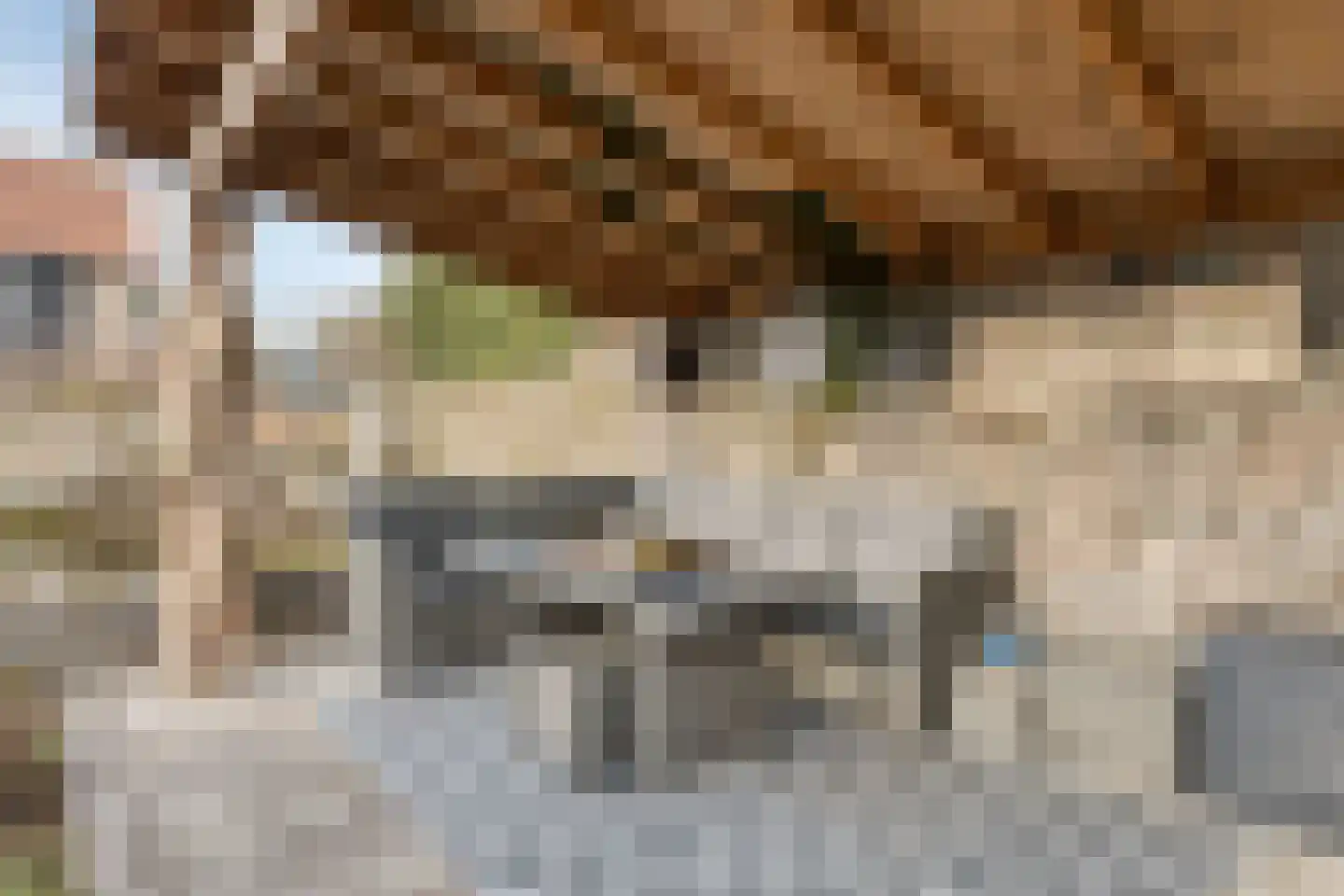 Peuterdijk 43 Herkingen thumbnail 46