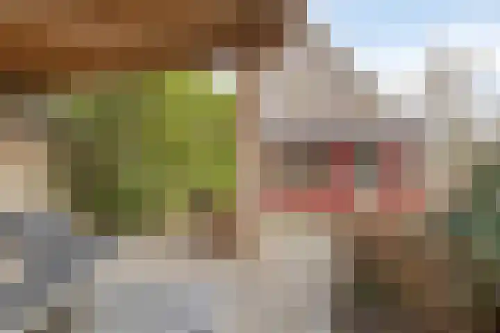 Peuterdijk 43 Herkingen thumbnail 47