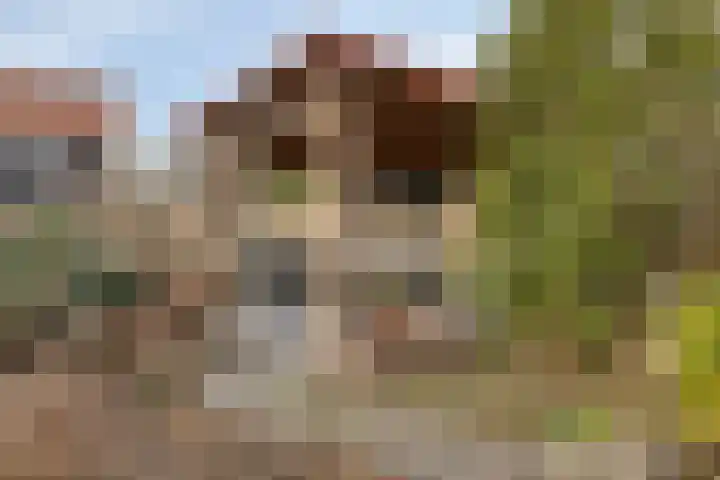 Peuterdijk 43 Herkingen thumbnail 48