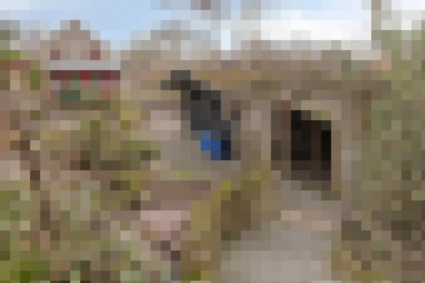 Peuterdijk 43 Herkingen thumbnail 49