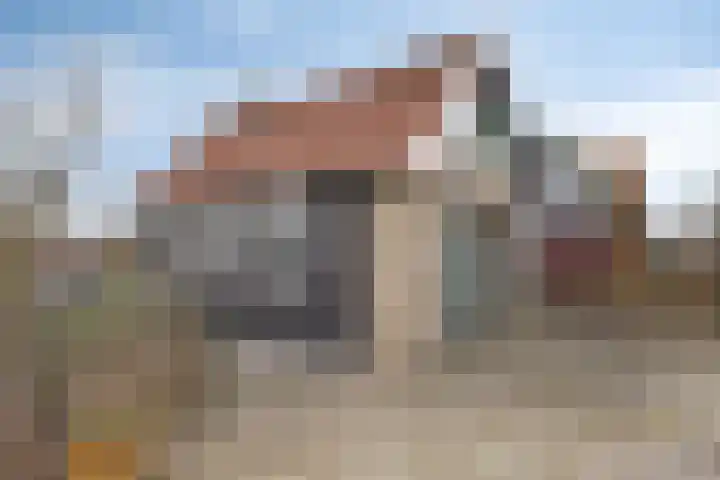 Peuterdijk 43 Herkingen thumbnail 50