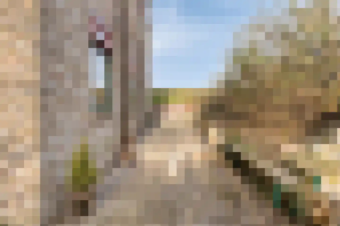 Peuterdijk 43 Herkingen thumbnail 51
