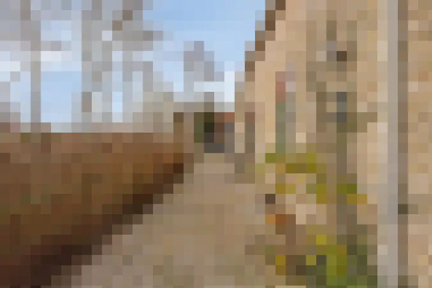 Peuterdijk 43 Herkingen thumbnail 53