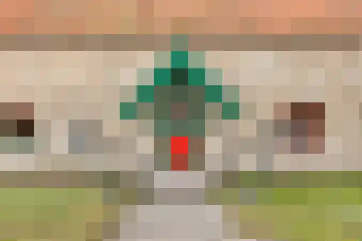 Peuterdijk 43 Herkingen thumbnail 6