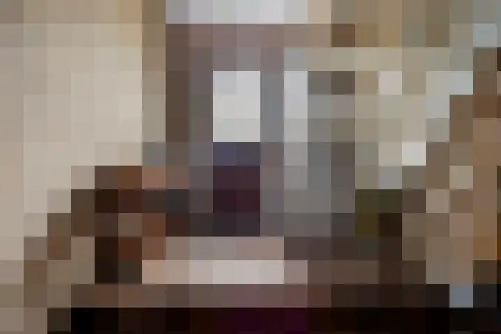 Peuterdijk 43 Herkingen thumbnail 7