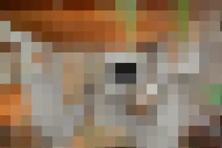Peuterdijk 43 Herkingen thumbnail 9