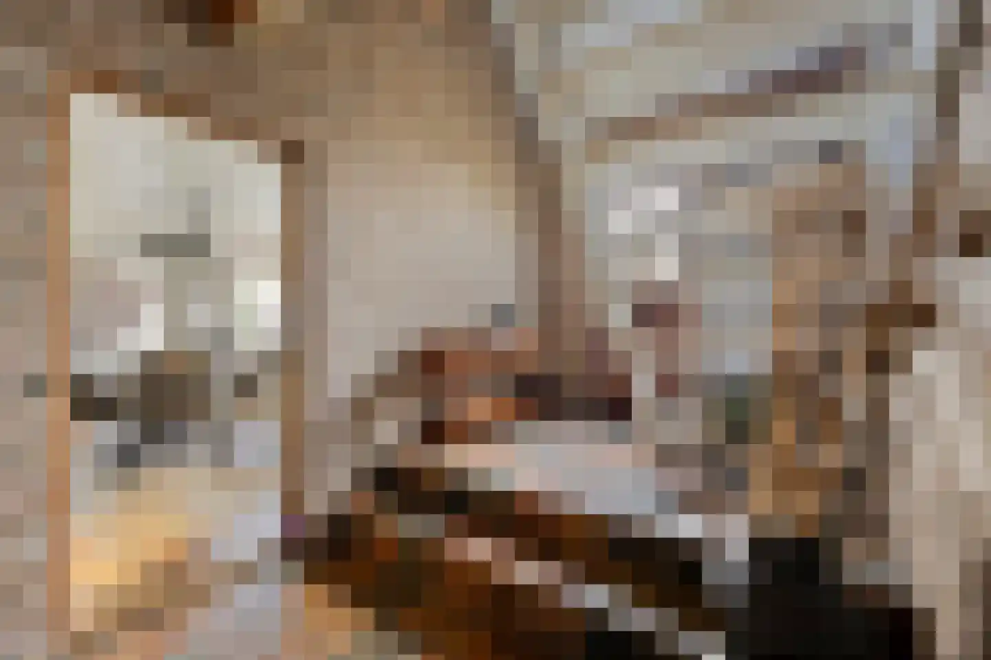 Peuterdijk 43 Herkingen thumbnail 9
