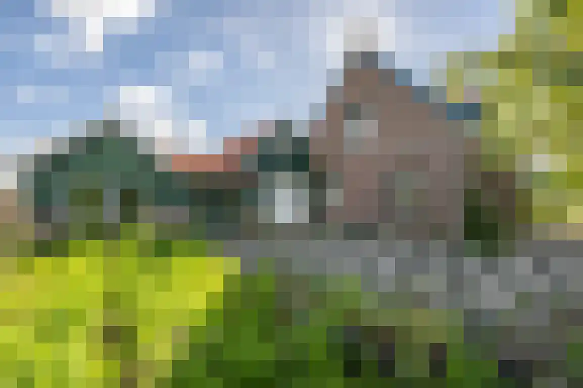 Peuterdijk 44 Herkingen foto 2