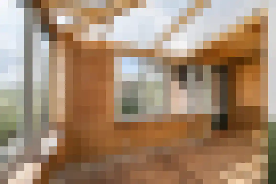 Peuterdijk 44 Herkingen thumbnail 27