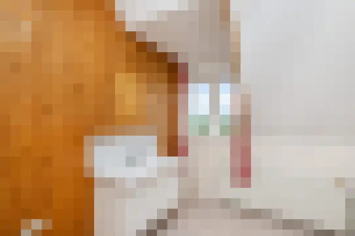 Peuterdijk 44 Herkingen thumbnail 46