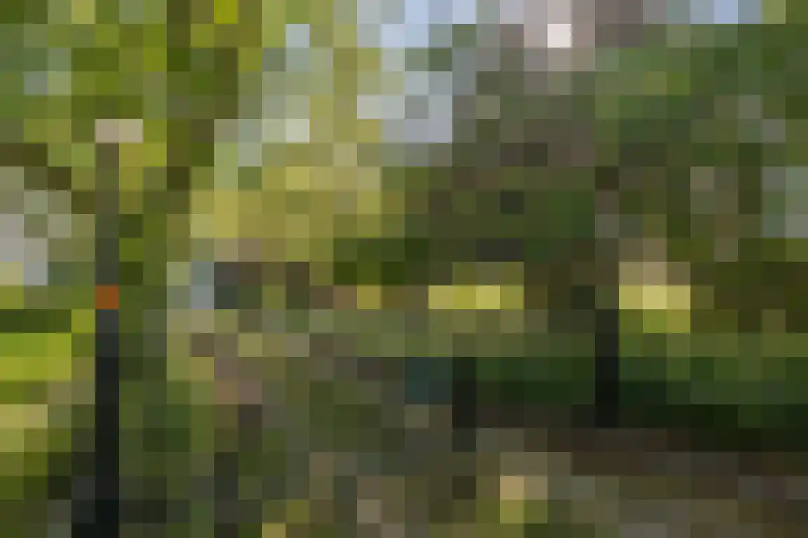 Peuterdijk 44 Herkingen thumbnail 5