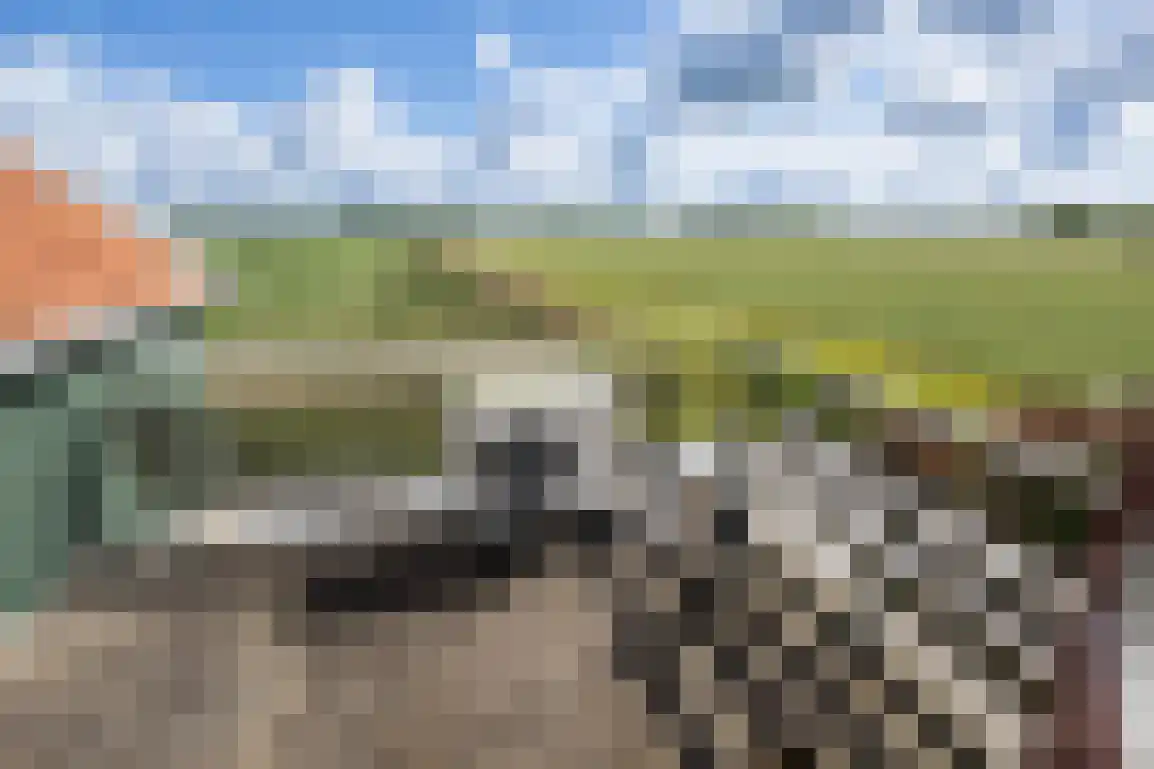 Peuterdijk 44 Herkingen thumbnail 53