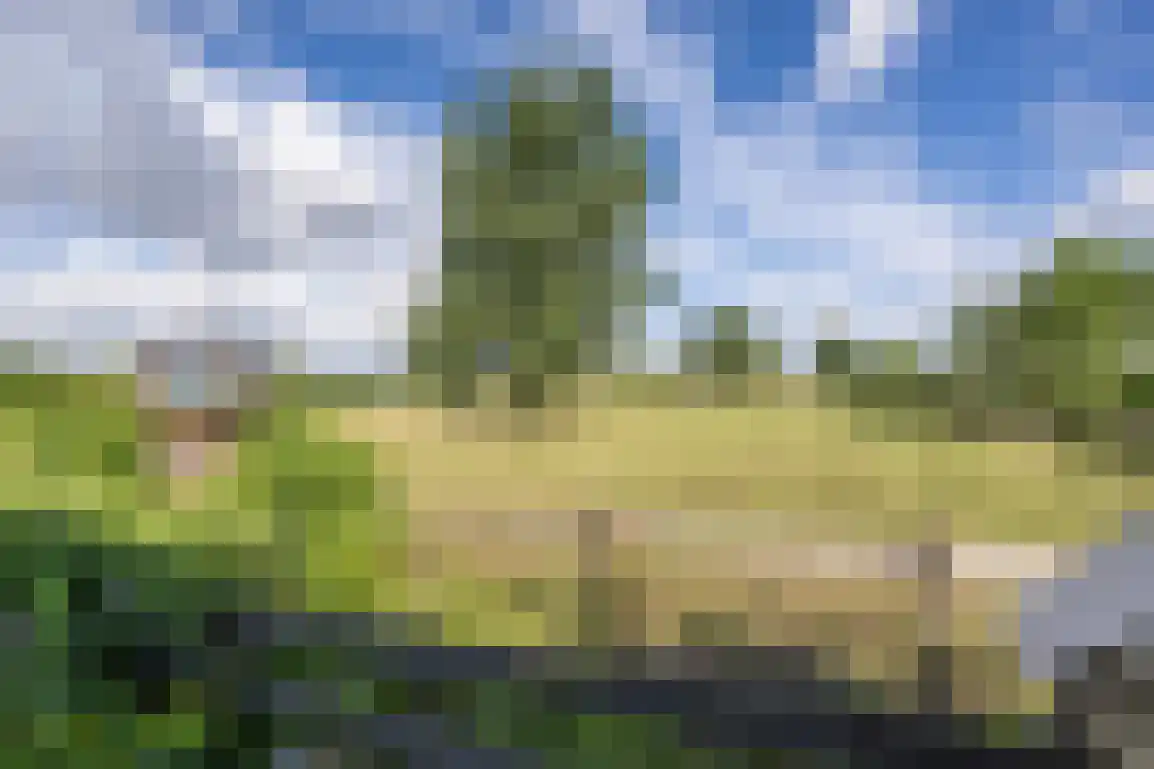 Peuterdijk 44 Herkingen thumbnail 57