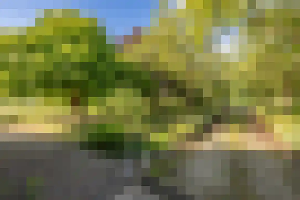 Peuterdijk 44 Herkingen thumbnail 58