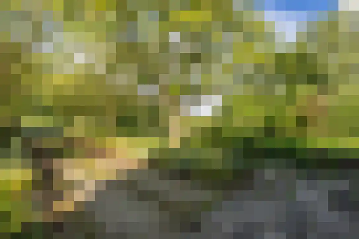 Peuterdijk 44 Herkingen thumbnail 59
