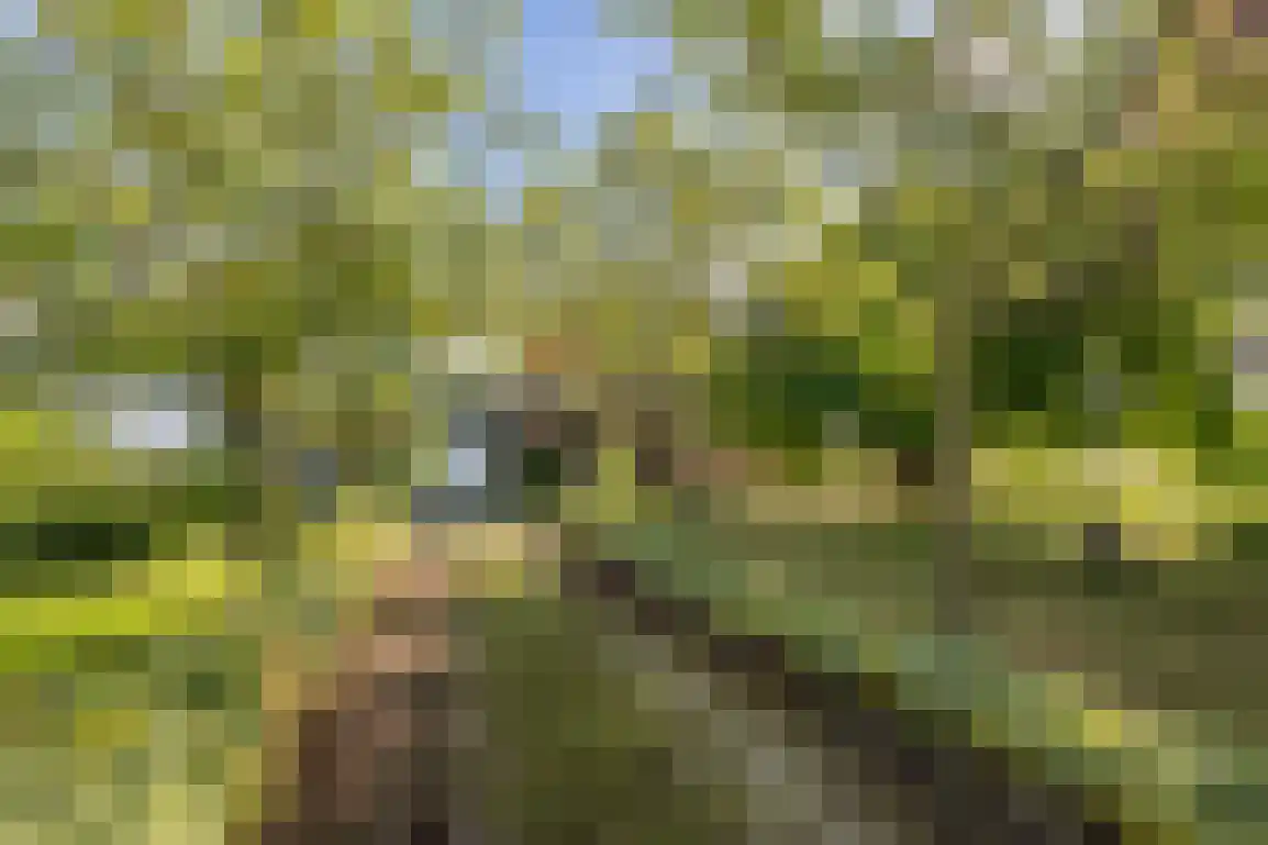 Peuterdijk 44 Herkingen thumbnail 6