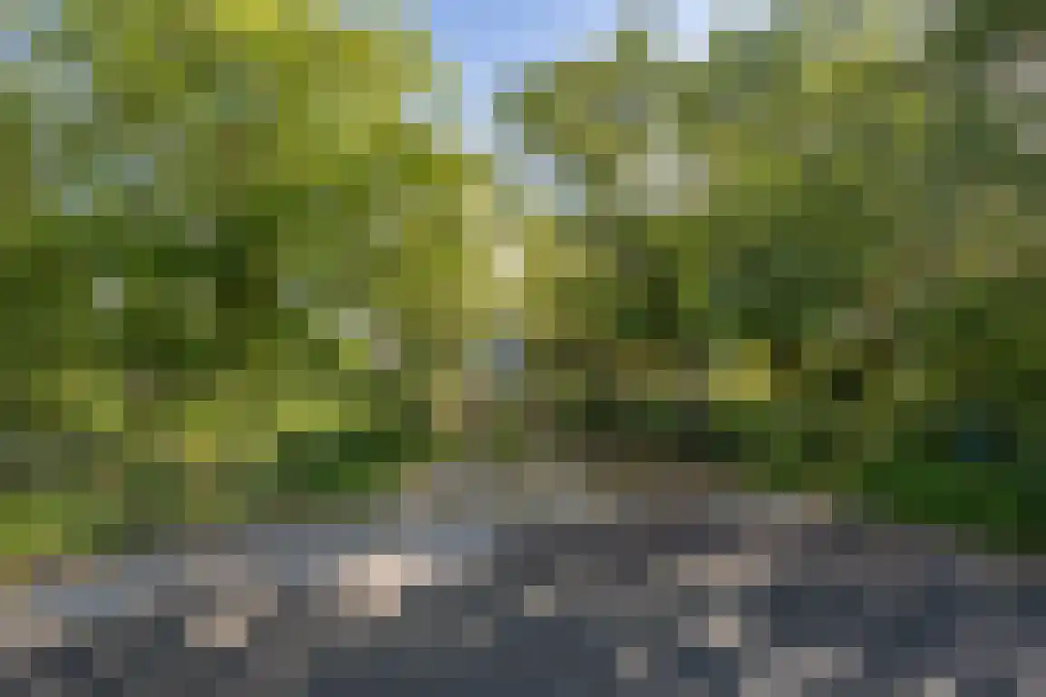 Peuterdijk 44 Herkingen thumbnail 60