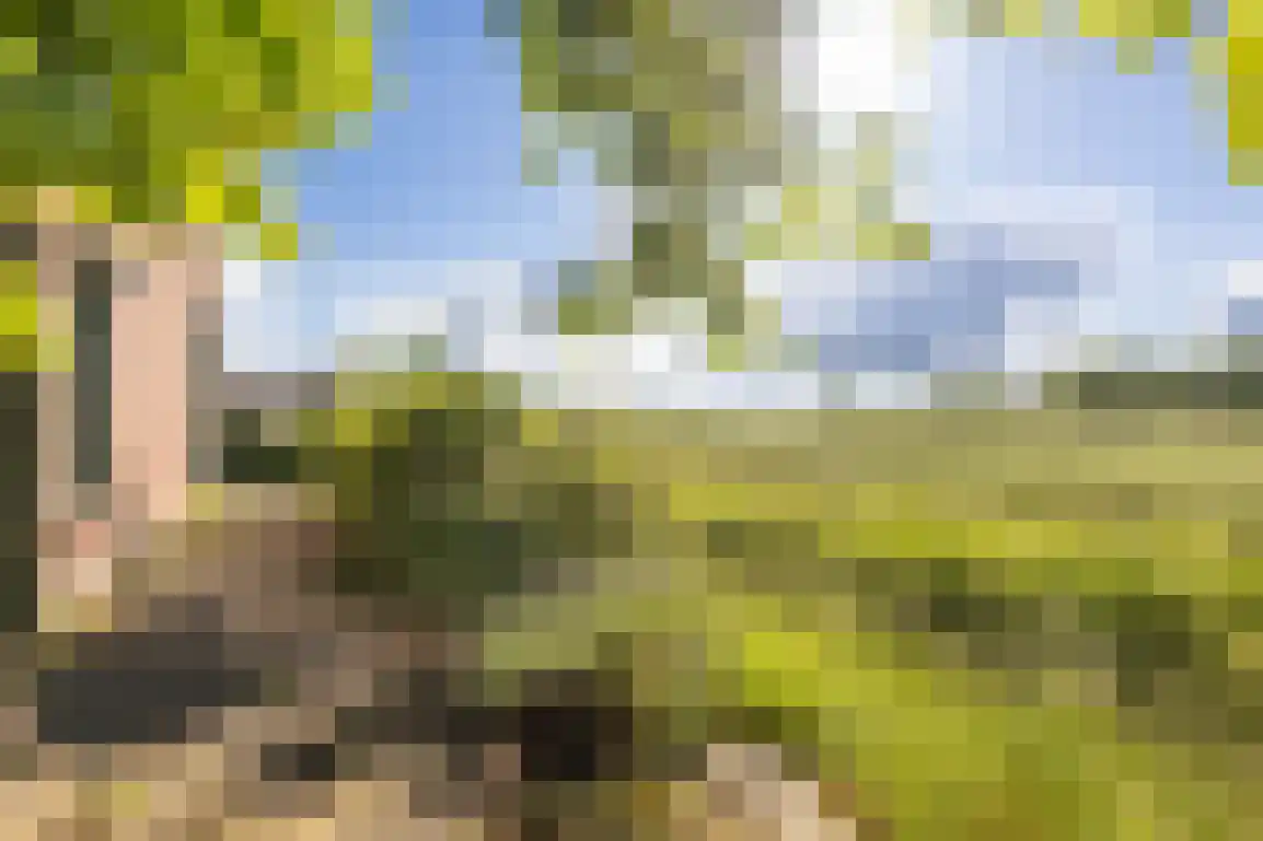 Peuterdijk 44 Herkingen thumbnail 61