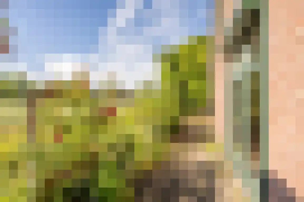 Peuterdijk 44 Herkingen thumbnail 62