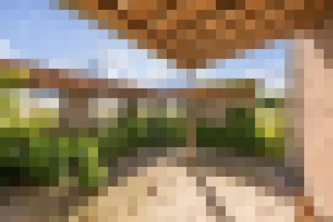 Peuterdijk 44 Herkingen thumbnail 65
