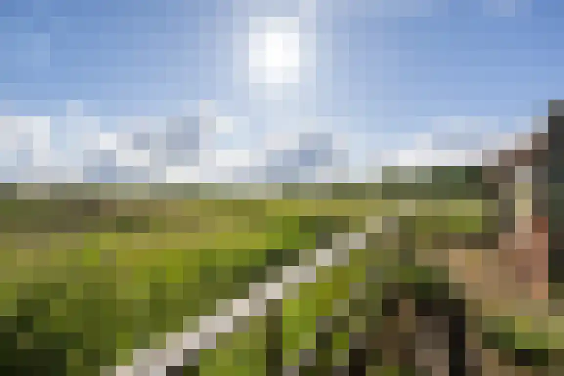 Peuterdijk 44 Herkingen thumbnail 66