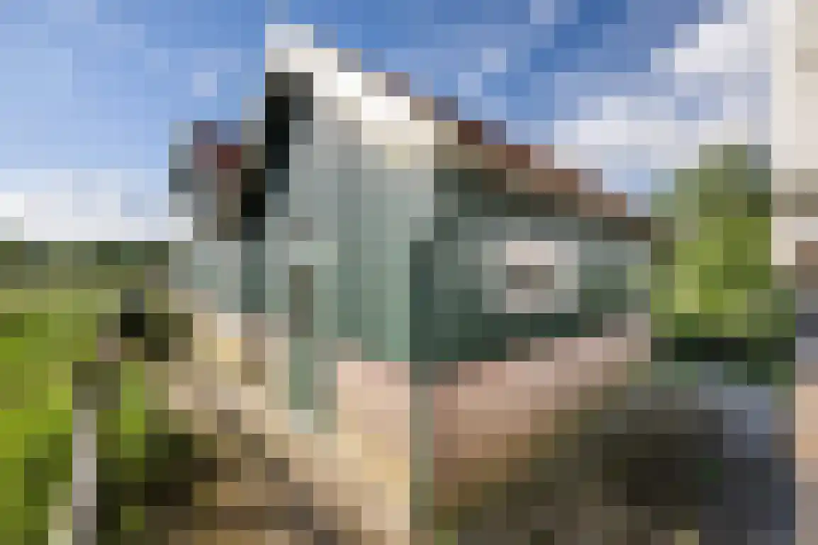 Peuterdijk 44 Herkingen thumbnail 68