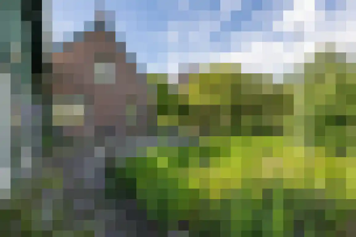 Peuterdijk 44 Herkingen thumbnail 70