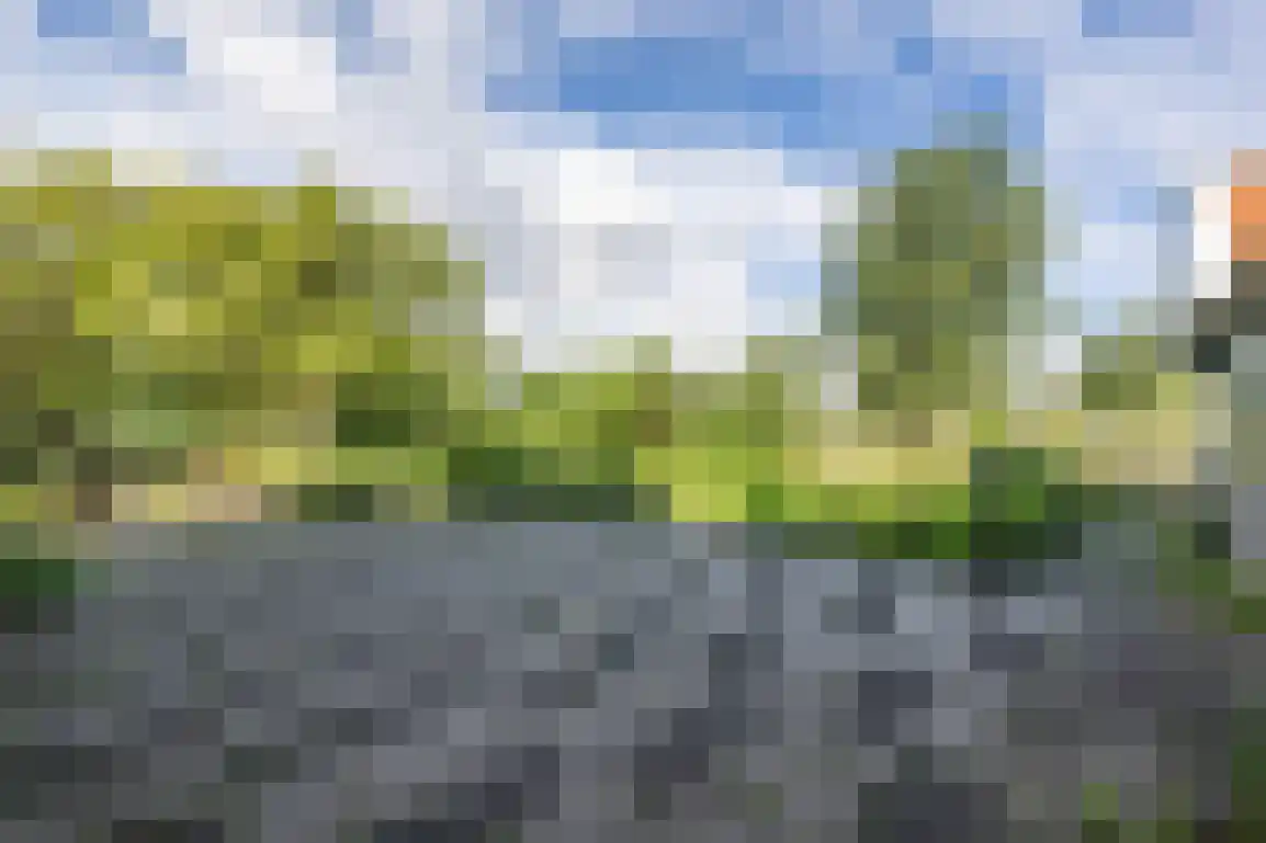 Peuterdijk 44 Herkingen thumbnail 71