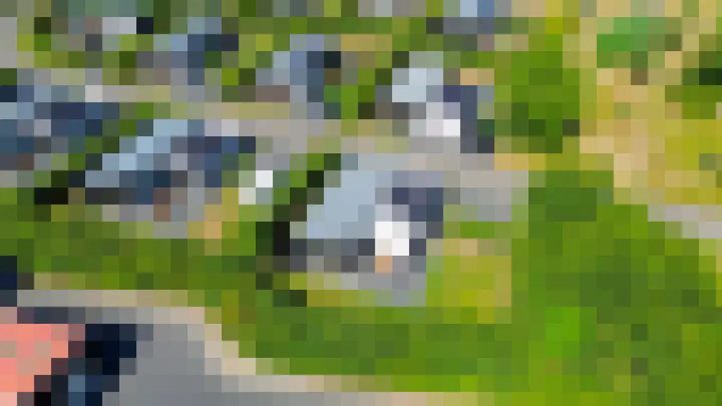 Peuterdijk 50 1 Herkingen thumbnail 28