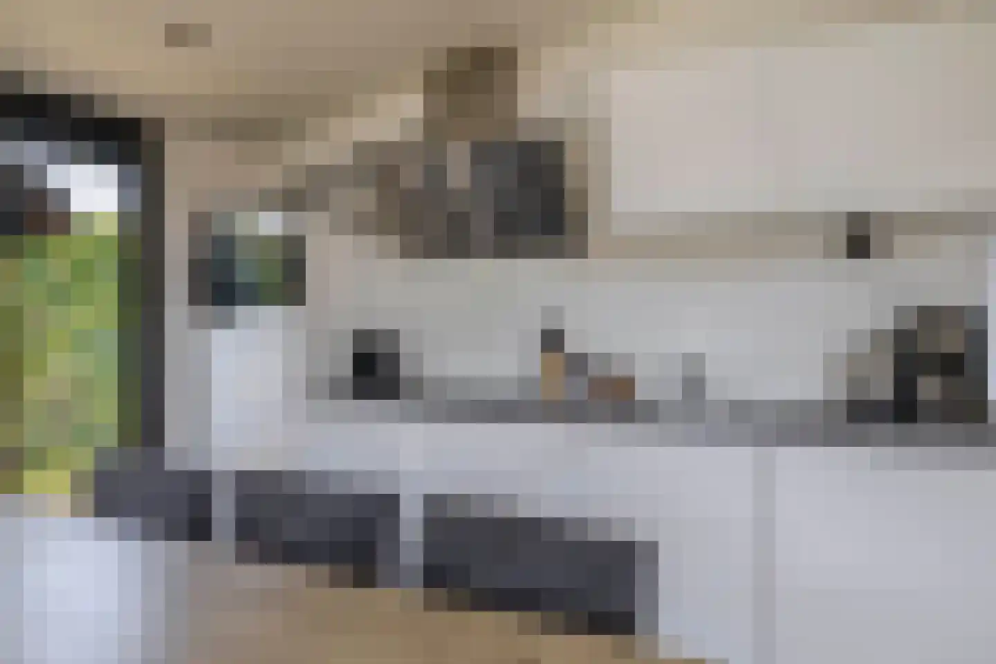 Peuterdijk 50 1 Herkingen thumbnail 4