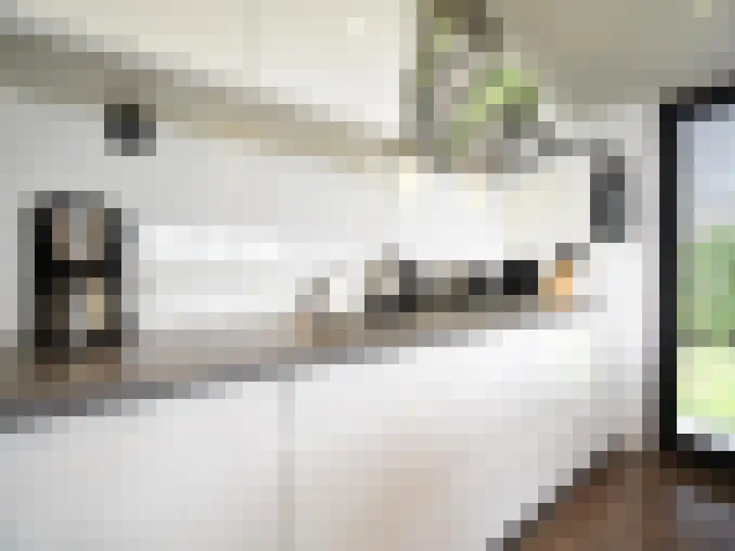 Peuterdijk 50 11 Herkingen thumbnail 10